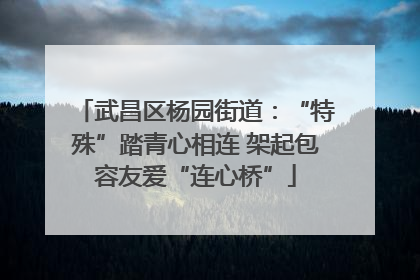 武昌区杨园街道：“特殊”踏青心相连 架起包容友爱“连心桥”
