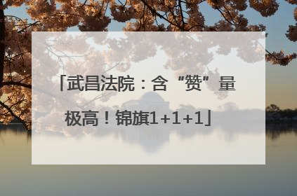 武昌法院：含“赞”量极高！锦旗1+1+1