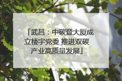 武昌：中碳登大厦成立楼宇党委 推进双碳产业高质量发展