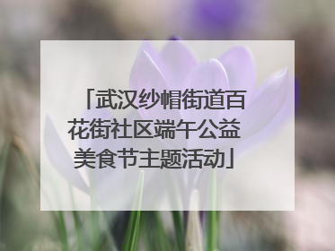 武汉纱帽街道百花街社区端午公益美食节主题活动