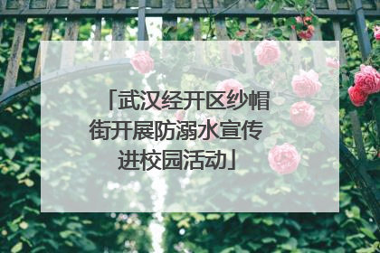 武汉经开区纱帽街开展防溺水宣传进校园活动