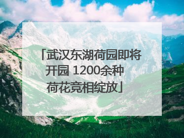 武汉东湖荷园即将开园 1200余种荷花竞相绽放