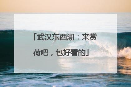 武汉东西湖：来赏荷吧，包好看的