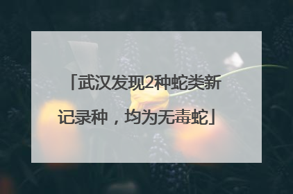 武汉发现2种蛇类新记录种，均为无毒蛇