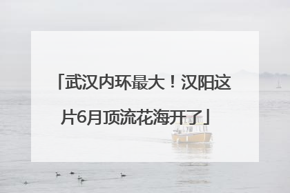 武汉内环最大！汉阳这片6月顶流花海开了