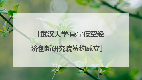 武汉大学·咸宁低空经济创新研究院签约成立