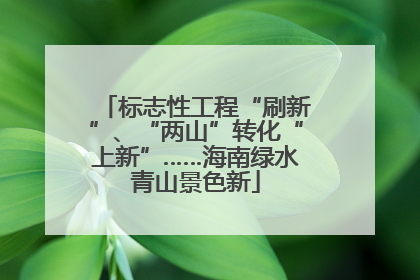 标志性工程“刷新”、“两山”转化“上新”……海南绿水青山景色新