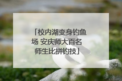 校内湖变身钓鱼场 安庆师大百名师生比拼钓技