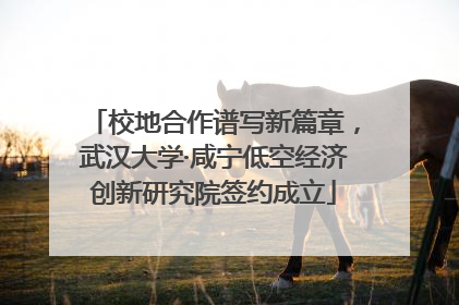 校地合作谱写新篇章，武汉大学·咸宁低空经济创新研究院签约成立