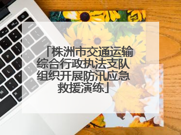 株洲市交通运输综合行政执法支队组织开展防汛应急救援演练