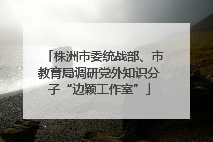 株洲市委统战部、市教育局调研党外知识分子“边颖工作室”