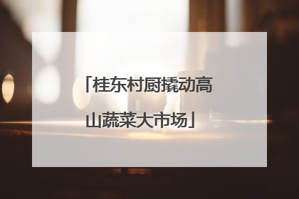 桂东村厨撬动高山蔬菜大市场