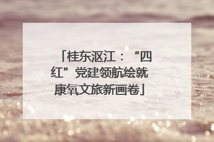 桂东沤江：“四红”党建领航绘就康氧文旅新画卷