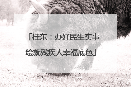桂东：办好民生实事 绘就残疾人幸福底色