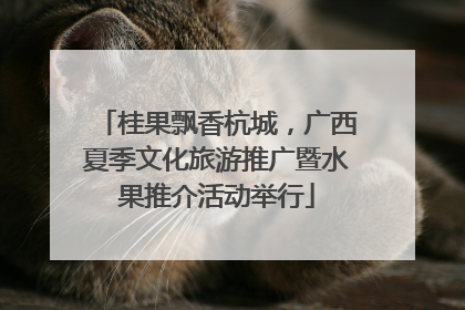 桂果飘香杭城，广西夏季文化旅游推广暨水果推介活动举行