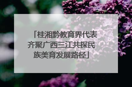 桂湘黔教育界代表齐聚广西三江共探民族美育发展路径