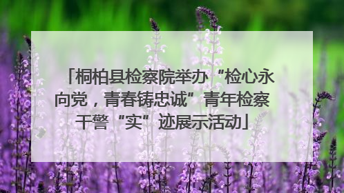 桐柏县检察院举办“检心永向党，青春铸忠诚”青年检察干警“实”迹展示活动