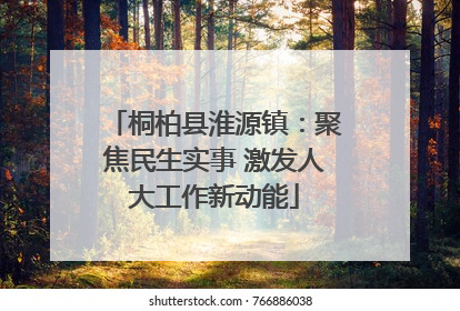 桐柏县淮源镇：聚焦民生实事 激发人大工作新动能