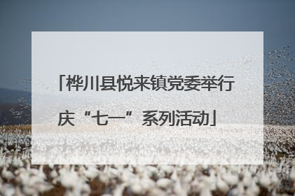 桦川县悦来镇党委举行庆“七一”系列活动