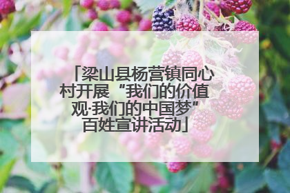 梁山县杨营镇同心村开展“我们的价值观·我们的中国梦”百姓宣讲活动