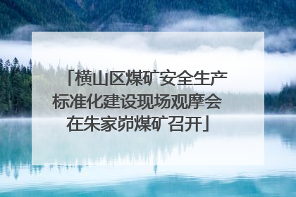 横山区煤矿安全生产标准化建设现场观摩会在朱家峁煤矿召开