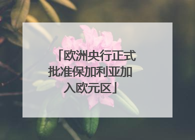 欧洲央行正式批准保加利亚加入欧元区
