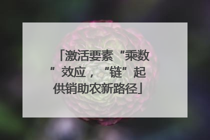 激活要素“乘数”效应，“链”起供销助农新路径