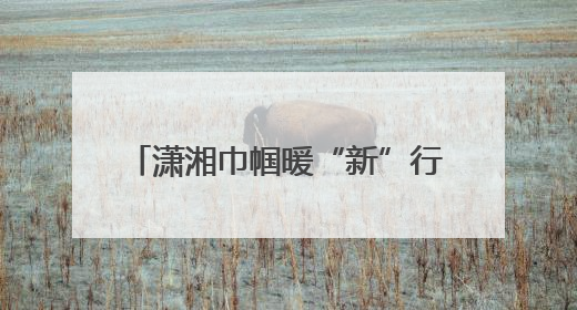 潇湘巾帼暖“新”行动首站走进张家界