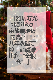 潍坊寿光北部13万亩盐碱地迈向高产田：八年改碱夺粮，盐碱滩拱起“金粮仓”
