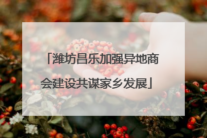 潍坊昌乐加强异地商会建设共谋家乡发展