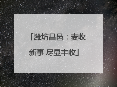 潍坊昌邑：麦收新事 尽显丰收