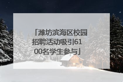 潍坊滨海区校园招聘活动吸引6100名学生参与