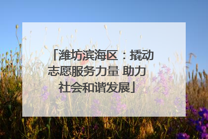 潍坊滨海区：撬动志愿服务力量 助力社会和谐发展