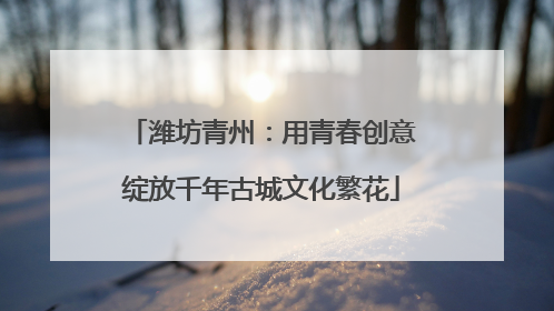 潍坊青州：用青春创意绽放千年古城文化繁花