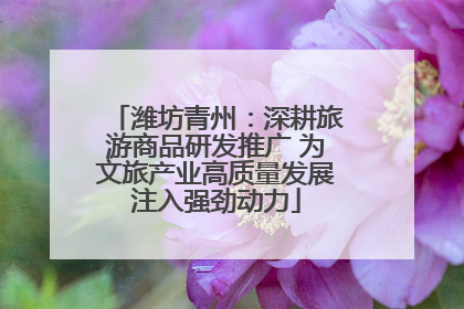 潍坊青州：深耕旅游商品研发推广 为文旅产业高质量发展注入强劲动力