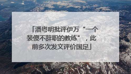 潘粤明批评伊万“一个装傻不辞职的教练”，此前多次发文评价国足