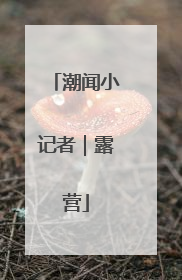 潮闻小记者｜露营