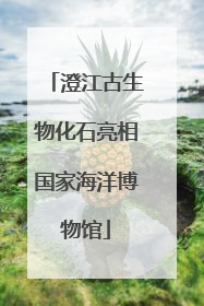 澄江古生物化石亮相国家海洋博物馆