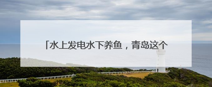 水上发电水下养鱼，青岛这个村百亩竹节虾抢“鲜”上市