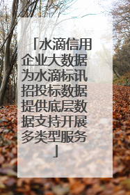 水滴信用企业大数据为水滴标讯招投标数据提供底层数据支持开展多类型服务