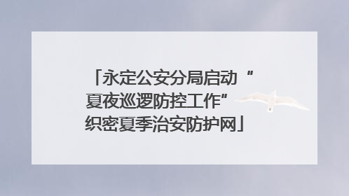 永定公安分局启动“夏夜巡逻防控工作” 织密夏季治安防护网