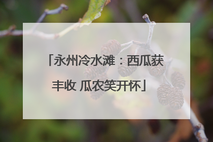 永州冷水滩：西瓜获丰收 瓜农笑开怀