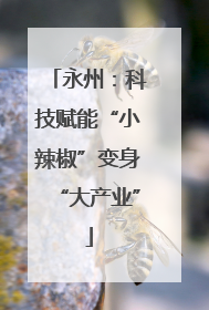 永州：科技赋能“小辣椒”变身“大产业”