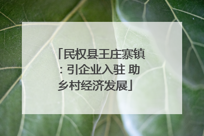 民权县王庄寨镇：引企业入驻 助乡村经济发展