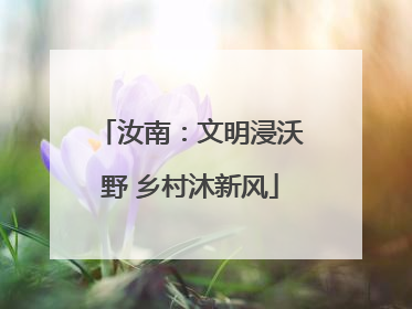 汝南：文明浸沃野 乡村沐新风