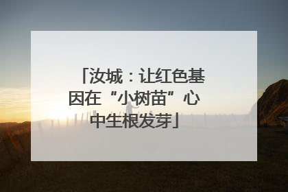 汝城：让红色基因在“小树苗”心中生根发芽