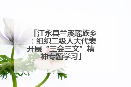 江永县兰溪瑶族乡：组织三级人大代表开展“三会三文”精神专题学习