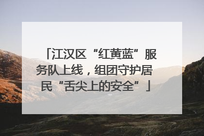 江汉区“红黄蓝”服务队上线，组团守护居民“舌尖上的安全”