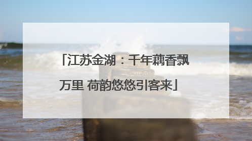 江苏金湖：千年藕香飘万里 荷韵悠悠引客来