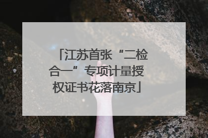 江苏首张“二检合一”专项计量授权证书花落南京